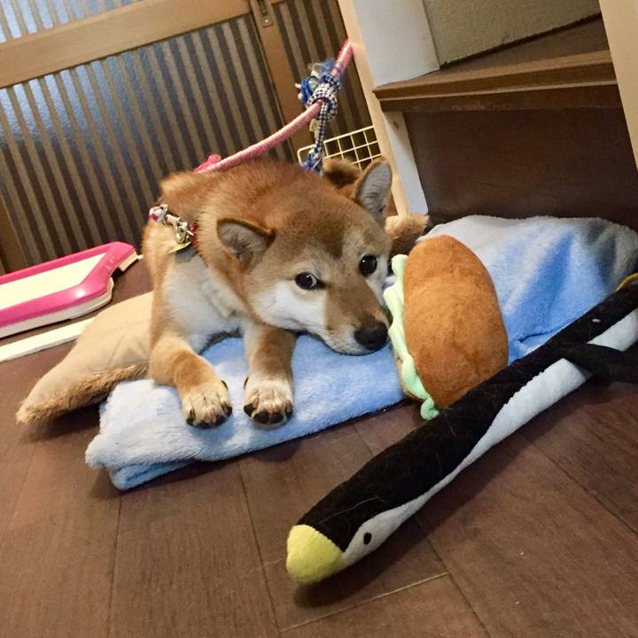 007380ed 21da 4828 b002 8c96ac27033c