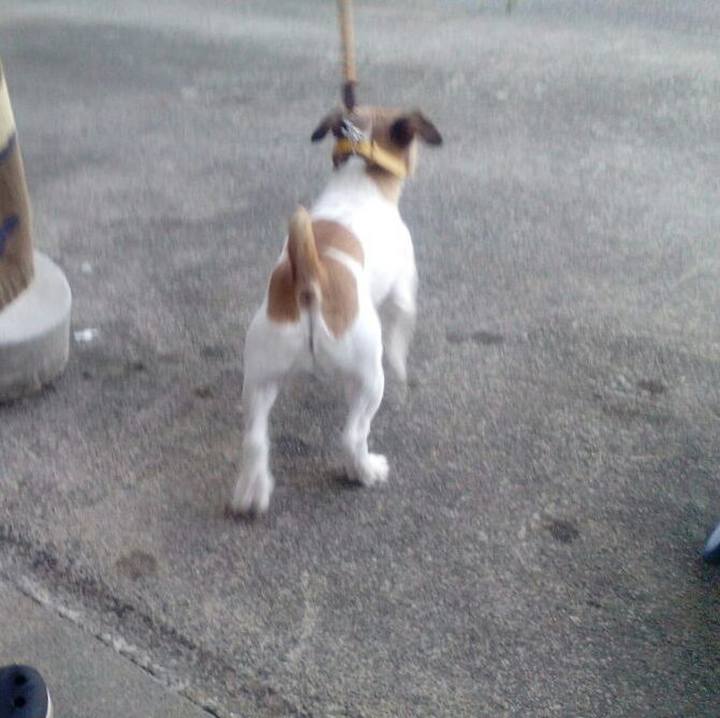 00738e83 8fc9 46f6 a920 5d4fa6ffa745