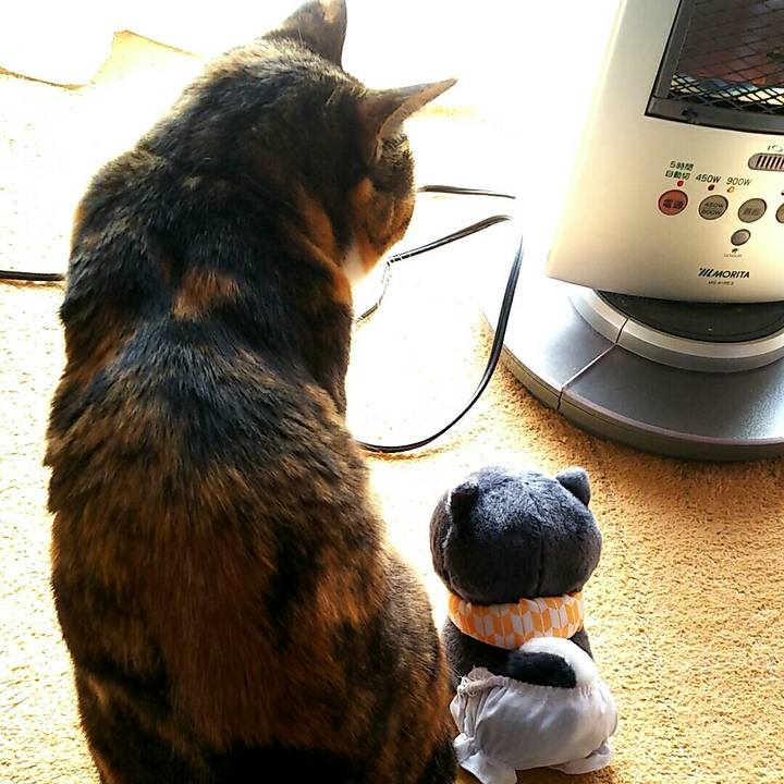 0073aea3 5338 44f6 b5d3 4dc43a1a9b80