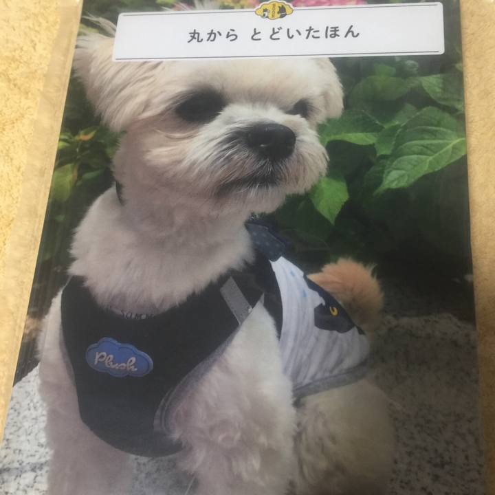 0073ef33 4085 49f1 a97a 6f1c8e07fba7