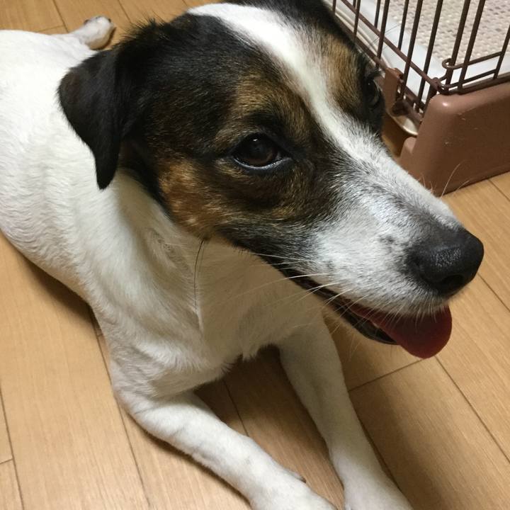 0073fd0f 42b6 49e7 bec4 a67853f10e2c