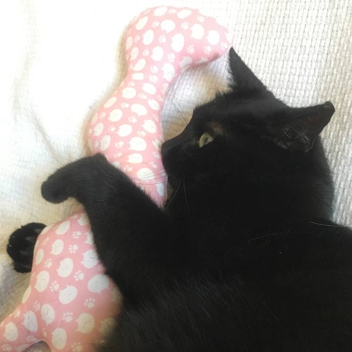 007461bc b59a 4493 be72 955267a74909