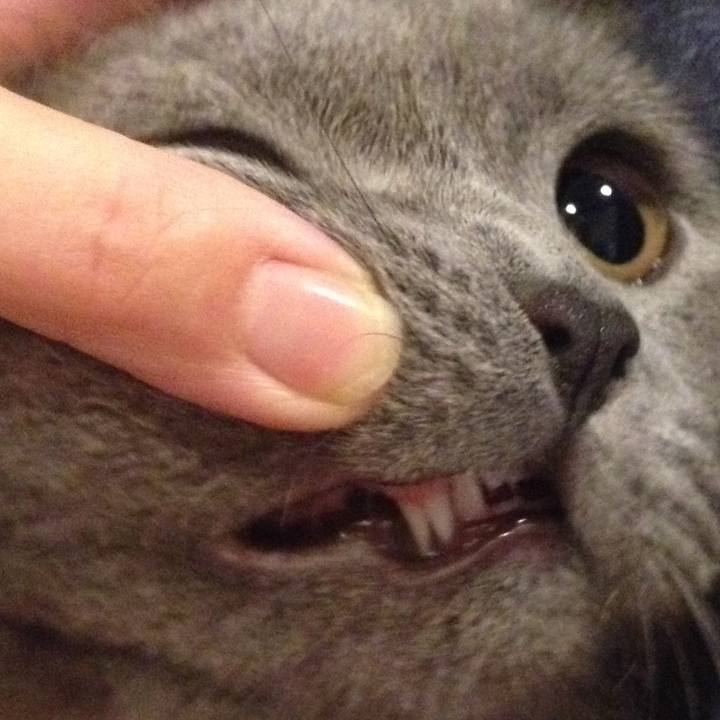 007509b7 9bf2 4e0a 81ce 22bf882a8371