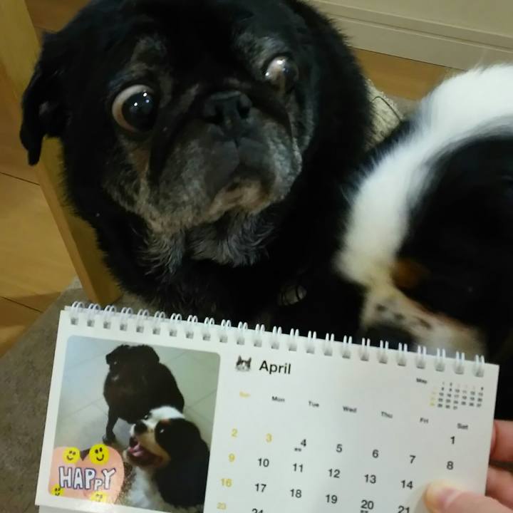 007541c1 85fd 4752 8c1a a38ca3950b1b