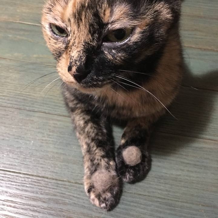 0075a6e0 3c6a 4e59 9670 bdd48b8f1986