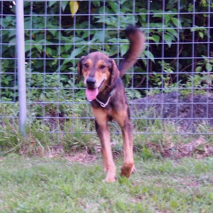 007631f9 4207 4a51 bb08 34a648056be3