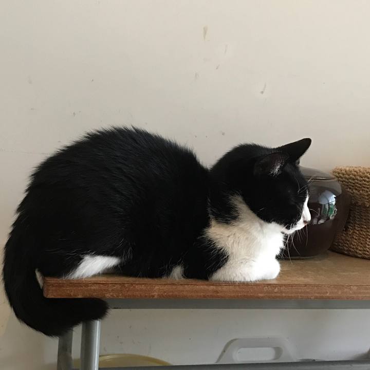 00765889 03c0 4d56 93c9 bf81e281616c