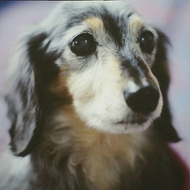 007671eb 860e 477a b320 dca826b9df2f