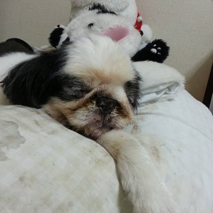 00767510 1069 4f11 b109 f585e76ac22c