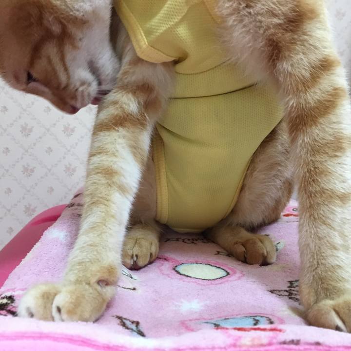 00768ed1 4dc7 400f 9516 6241bad31196