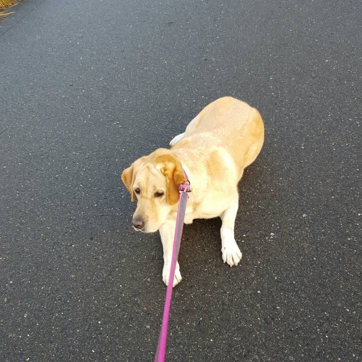 0076a2b6 0dcd 48e5 ad09 1d133fd55545