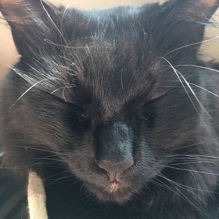 00774fcc 5346 48ef a10b 8b04783dc7b8