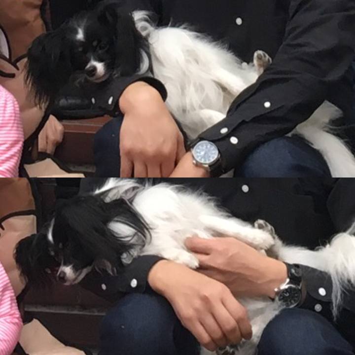 007764b7 f371 42e1 832a 3bd02e6f0ccb