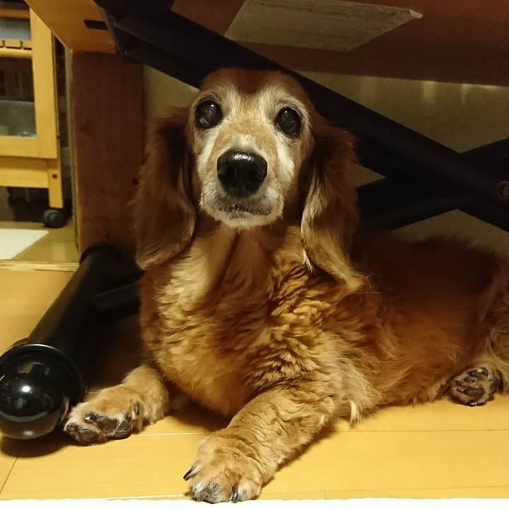 00782d81 02fe 48bf 95ba 83917bebd948