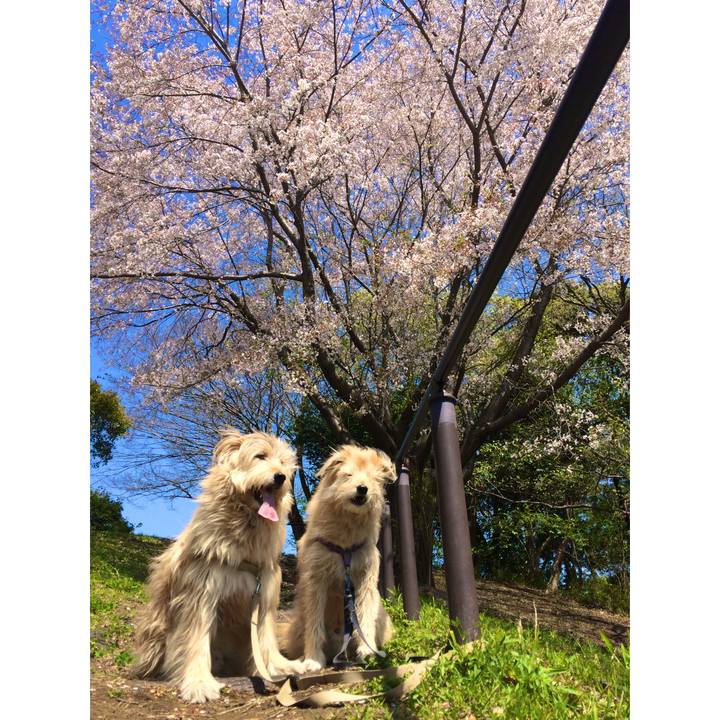 0078d9b8 863e 41fe adfa 3b9a014e7ba4