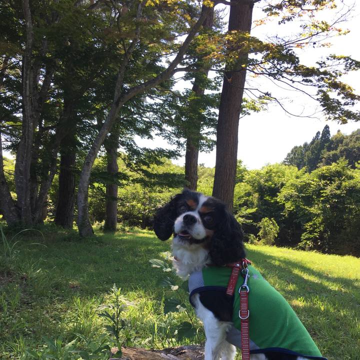 0079c51e 0d61 4df3 bf7d 2a068f704df3