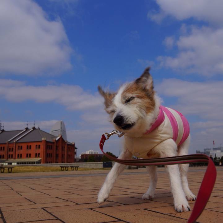 007a71ba 5acf 4aee 8650 74e668b824f3