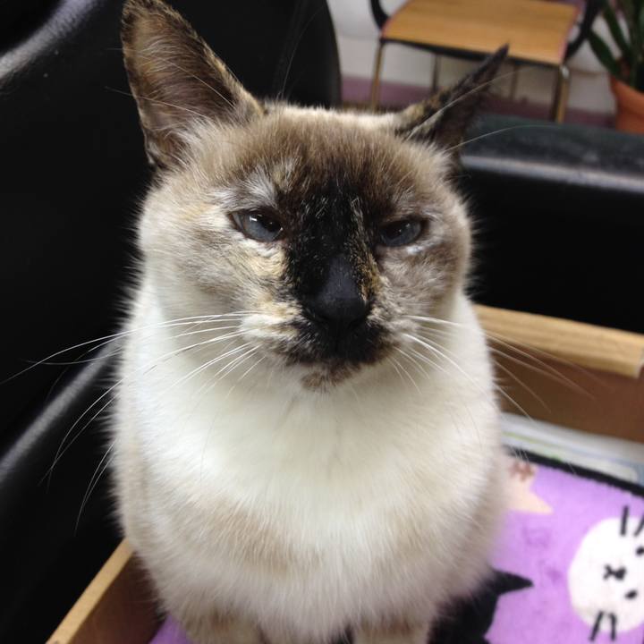 007acf38 989c 470b 82f9 ded4c8d3e8ec