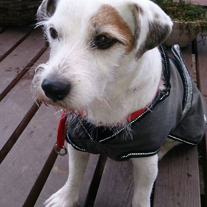 007b16b9 9926 46aa 8faf 1648314e2402