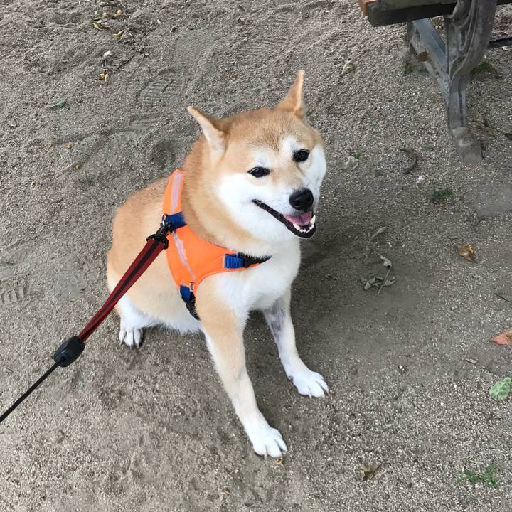 007b3b72 2aca 4f54 ab63 d5cccbeeba22