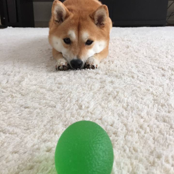 007c0d00 2329 4be0 8019 08f623a49e06