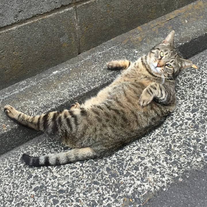 007ca719 d1de 49c5 bb3c 179ed84261f8