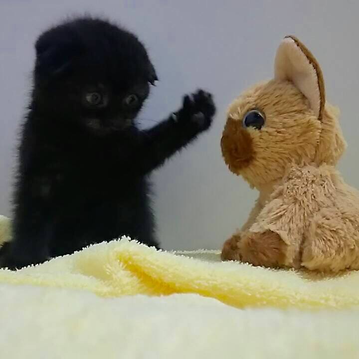 007d2cd5 7b6b 4330 8224 24eb5df03a9e