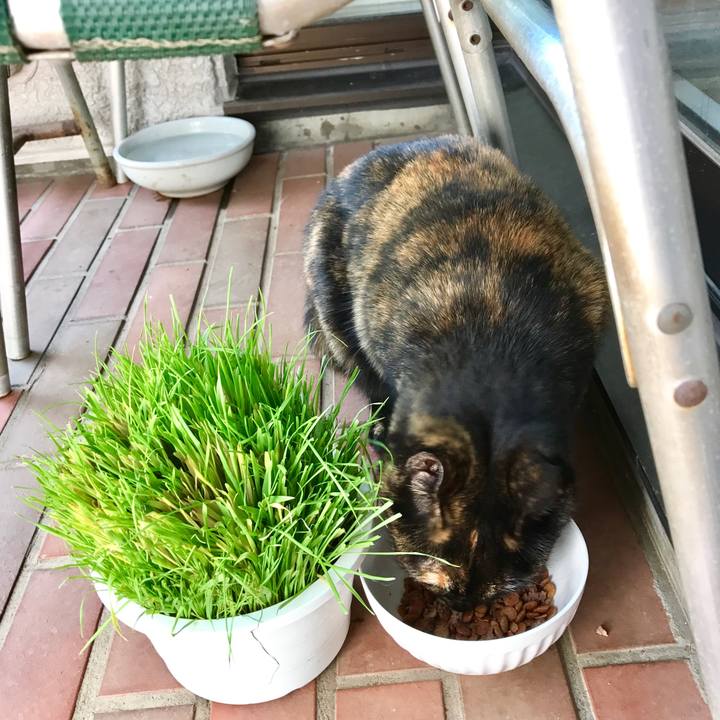 007d6e9b e5e6 4218 9370 5ab1c68d33ee