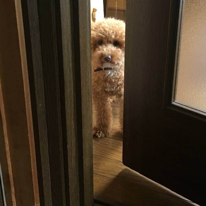 007da17d 322f 408b 8ccf da2e174dd41d