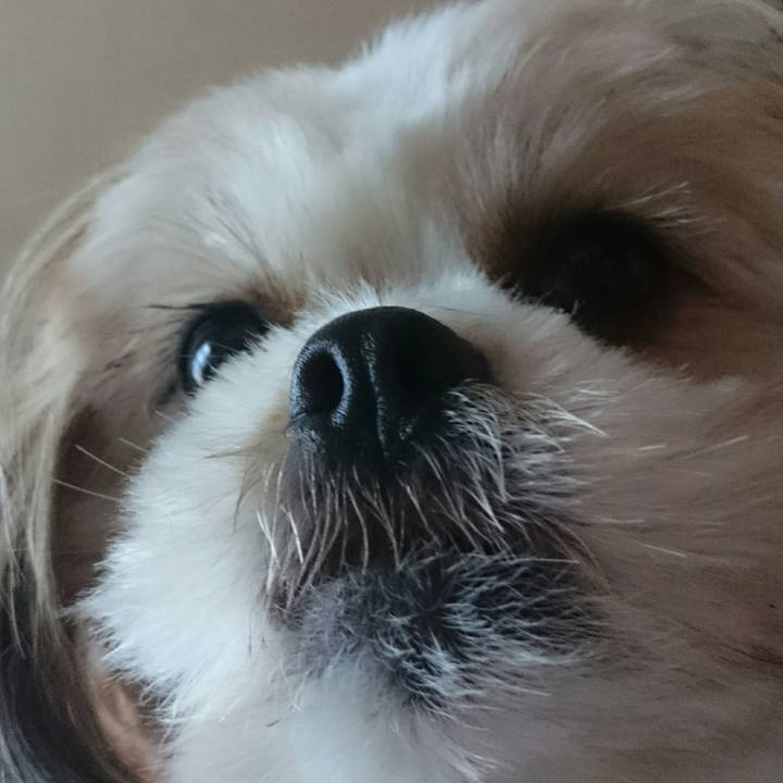 007e9d70 de5c 4aa0 999c 873642c6eafd