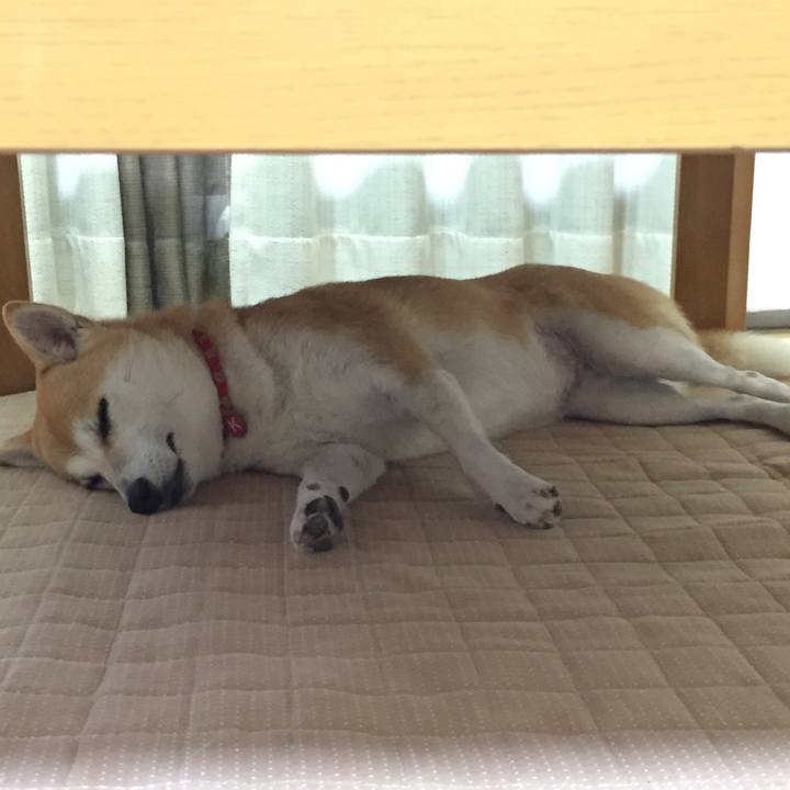 00803d0a 022f 4b7f 8d69 92efa372af74