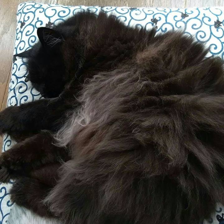 00812539 63ce 436e 89b1 95933111480f