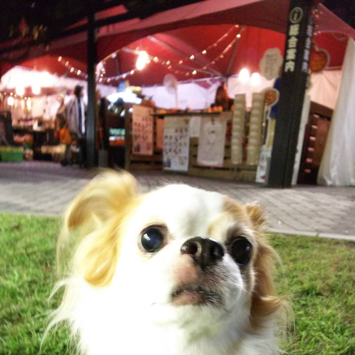 00813eb8 efcd 4ae9 a469 c9d6c5d06fd7