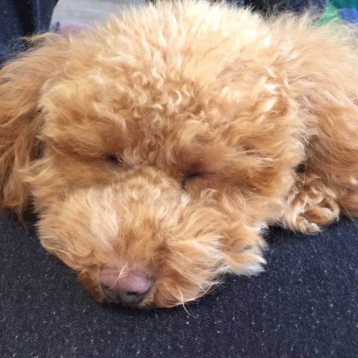 008165f9 a88a 4b20 8641 34ea68271ec2