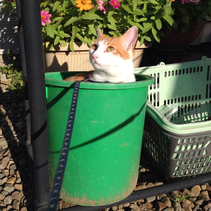 00816b3e 0b65 4d87 878c 28fe93275f1c