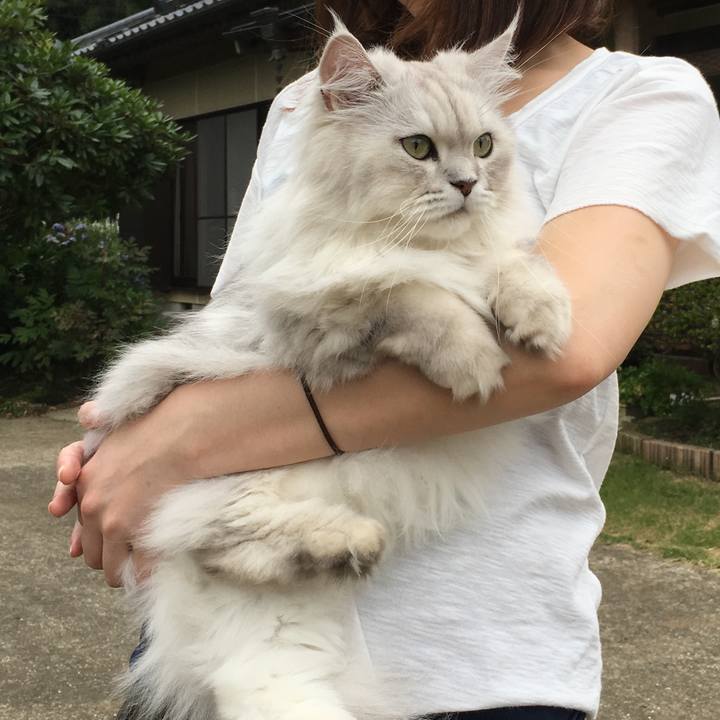 0081f943 2efc 4199 979c 90229be68f0a