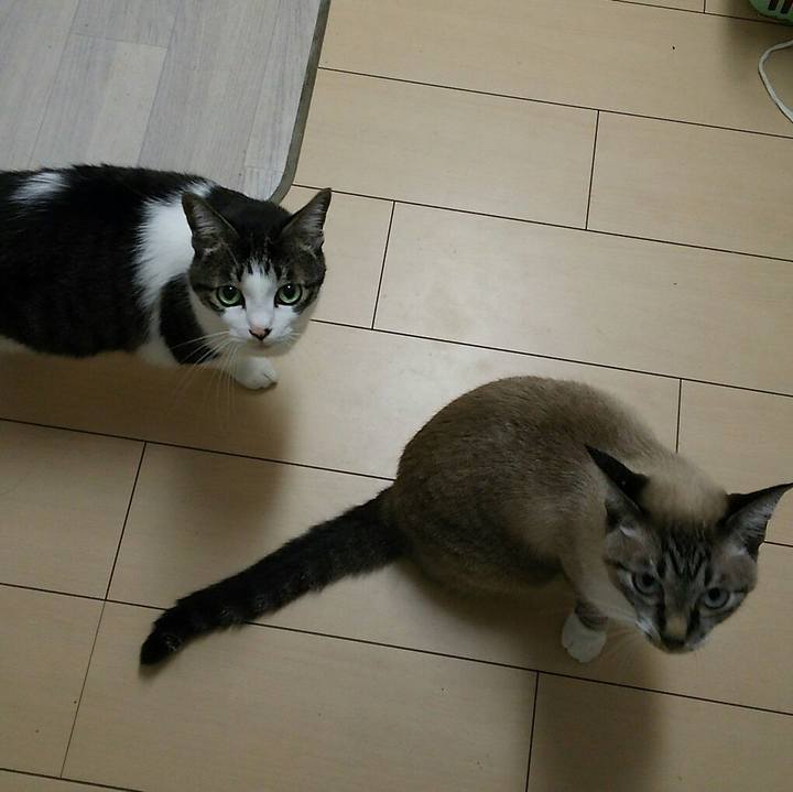 00826f9a 5fb2 4c9c 8c09 351dc881585e