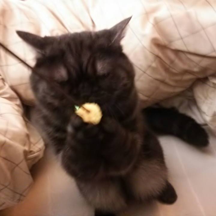 0082a27e 33b7 40dd 926e 02b2f4a22c71