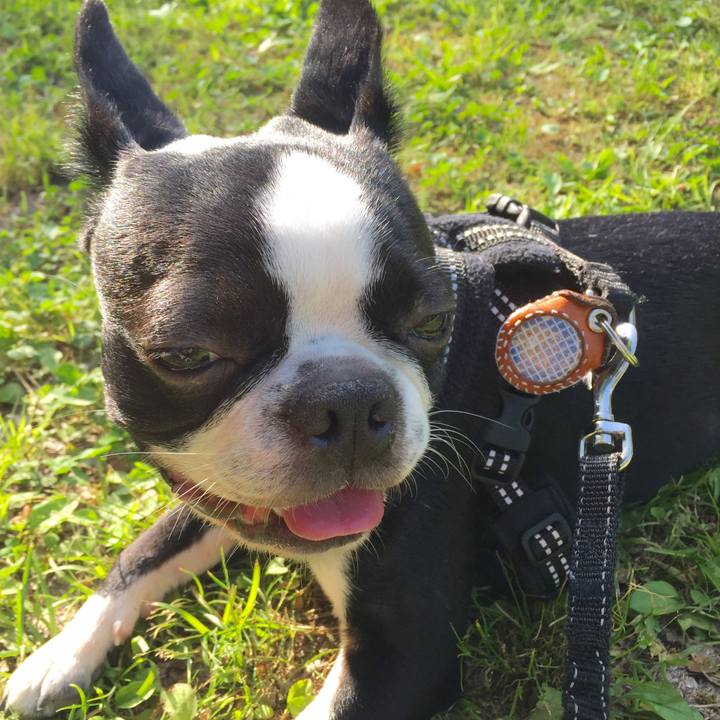 0082b9bd 2eee 4e97 9a16 2fcca1bcc496