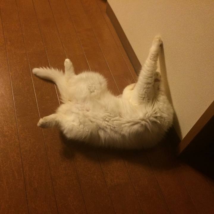 0082c5fa 3915 4f77 a2a3 1c76dc5b3b89