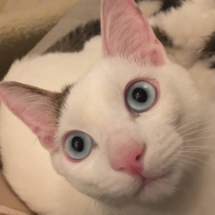 0082ef7a bf94 48f4 ac14 c1491afd165b