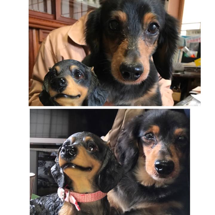 0082fbed 331d 461a 9f09 10fdc6b9baad