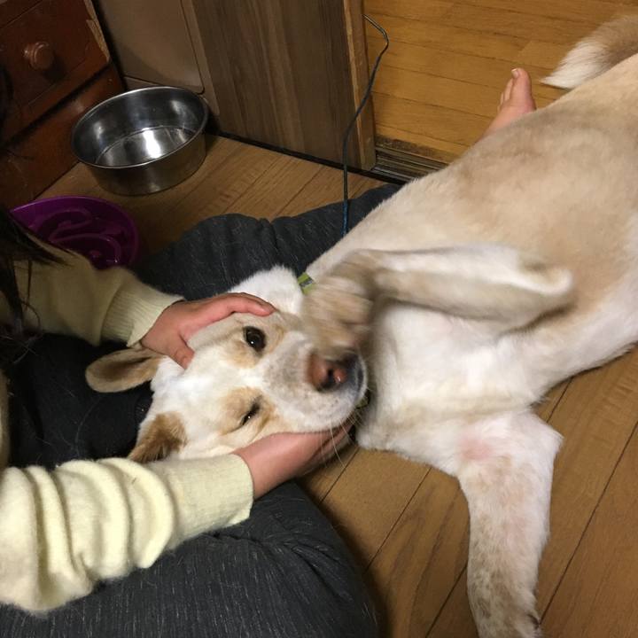 0083d5b6 3db9 44b7 b705 9a6b9b11af5d