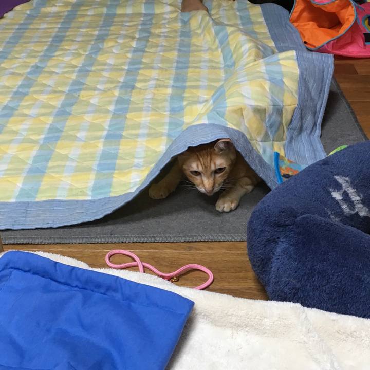 00843247 c7fd 4df8 b95a 932e65982a83