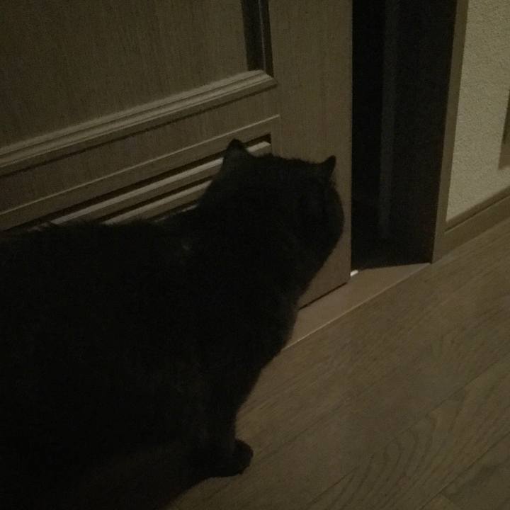 00849dce 7c71 48d6 895c 92ac2a109cd8