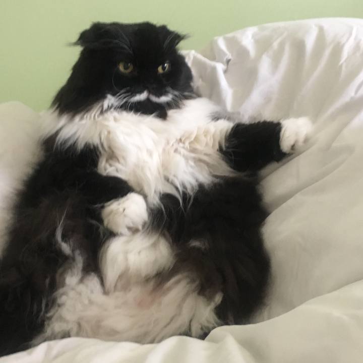 0084cb22 a888 4f54 b81e f004c6f66f3f