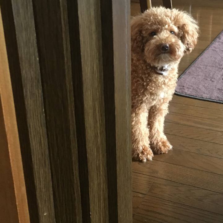 0084d109 444a 4e20 bab3 e95b8b160333