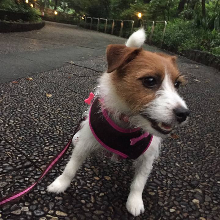 0084fef0 cb05 4c0f 80b9 feb9e4fd0c1d