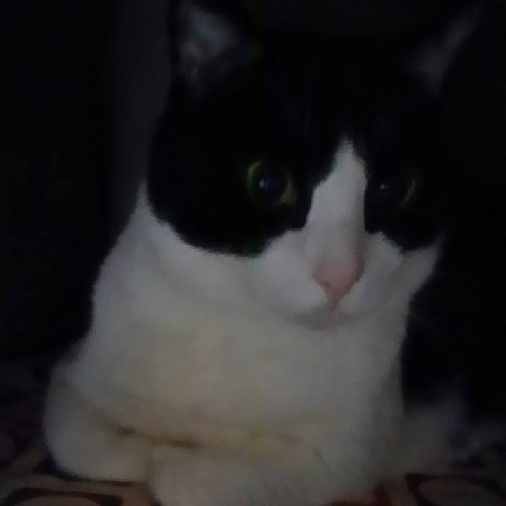 008554e6 3269 4e63 8c24 86bc8df35989