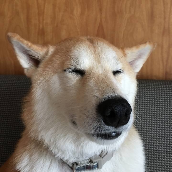 008581c0 8f9c 4ffd a5c0 faeab04686c0